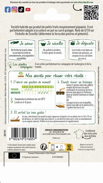Potagères - Piment Bomber HF1 - Cuisine du Monde - MEDIA_PACKAGING_VERSO